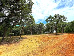 TBD Turpin Lake Road - Photo 8