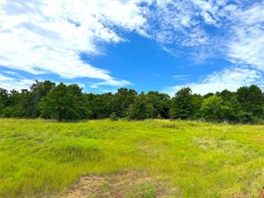 TBD Turpin Lake Road - Photo 9