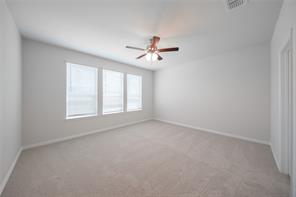 3125 Patrinia Street - Photo 5