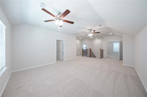 3125 Patrinia Street - Photo 8