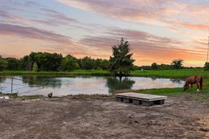 10052 Helms Trail - Photo 12