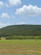185 Beddo Bluff Court - Photo 1
