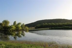 185 Beddo Bluff Court - Photo 3