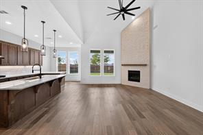 4323 Wildflower Lane - Photo 9