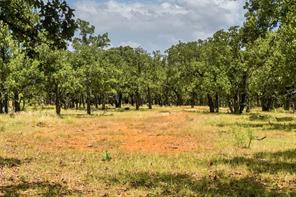 16.5 Acres Burwick Road - Photo 1