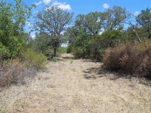 TBD 10 Acres CR 136 - Photo 1