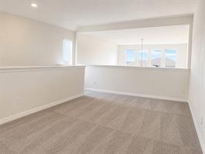 262 Little Bridge Drive - Photo 9