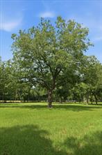 4258 Highway 164 E - Photo 29