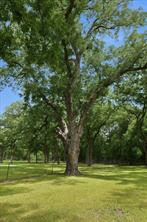 4258 Highway 164 E - Photo 30