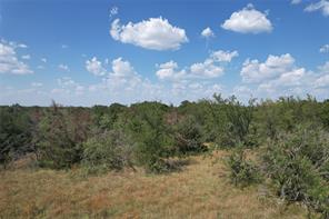 9373 Green Branch Loop - Photo 4