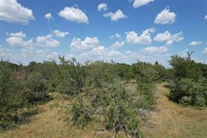 9373 Green Branch Loop - Photo 6