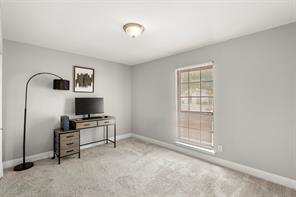 7334 Blue Sage Drive - Photo 13