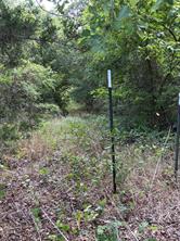 11601 County Road 103 - Photo 2