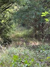 11601 County Road 103 - Photo 3
