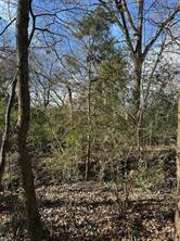 0000 County Road 2324 - Photo 10