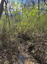 0000 County Road 2324 - Photo 11