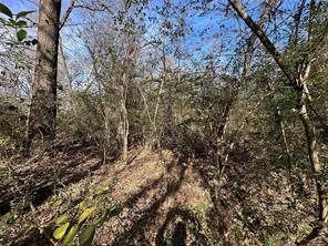 0000 County Road 2324 - Photo 12