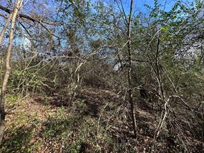 0000 County Road 2324 - Photo 13
