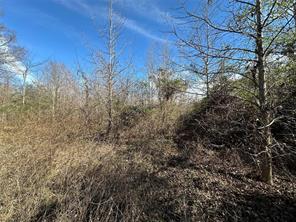 0000 County Road 2324 - Photo 14