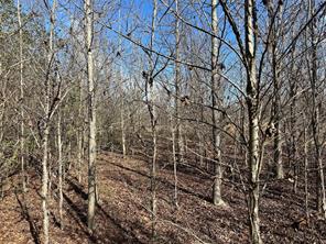 0000 County Road 2324 - Photo 16