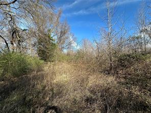 0000 County Road 2324 - Photo 17