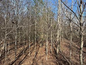 0000 County Road 2324 - Photo 18