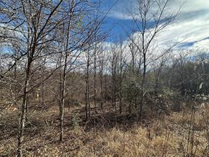 0000 County Road 2324 - Photo 19