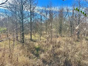 0000 County Road 2324 - Photo 21