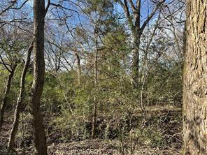 0000 County Road 2324 - Photo 3