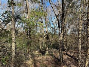 0000 County Road 2324 - Photo 9