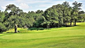 573 Sycamore Hills Loop - Photo 26