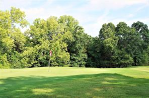 573 Sycamore Hills Loop - Photo 29