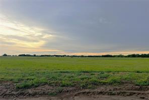 573 Sycamore Hills Loop - Photo 3
