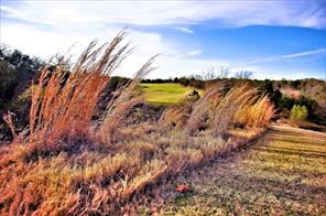 573 Sycamore Hills Loop - Photo 8