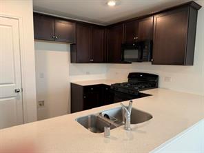 1976 Helmoken Falls Drive - Photo 4