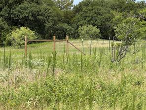 237 HCR 1306 - Photo 13