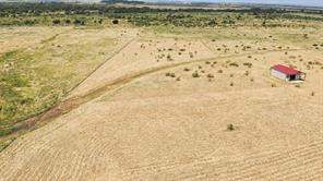 Lot 2 4825 N US 81 Highway - Photo 1