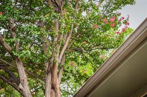 526 S Edgefield Avenue - Photo 39
