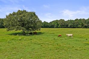 2199 County Rd 3150 - Photo 35