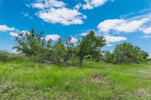 6000 Fm 586 S - Photo 21