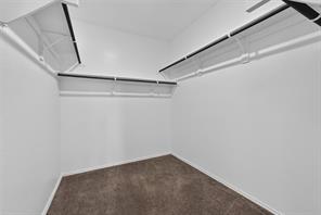 2800 Brittlebush Drive - Photo 13
