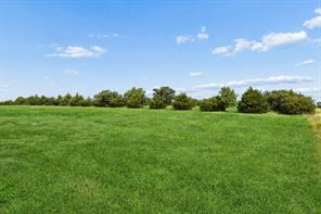 14221 County Road 545 - Photo 35
