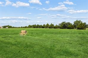 14221 County Road 545 - Photo 36