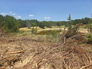 TBD Lighthouse Drive - Photo 1