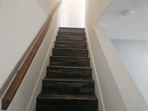 1537 Collin Drive - Photo 13
