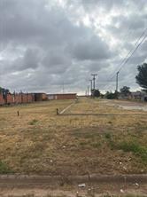 1900 Walter Griffin Street - Photo 3