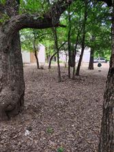 1545 Old Authon Road - Photo 14
