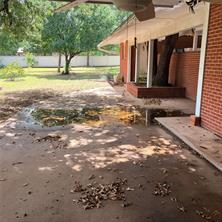 3103 N Oak Avenue - Photo 10