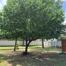 3103 N Oak Avenue - Photo 5