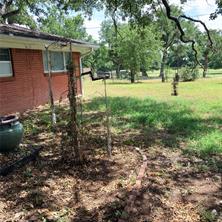 3103 N Oak Avenue - Photo 9